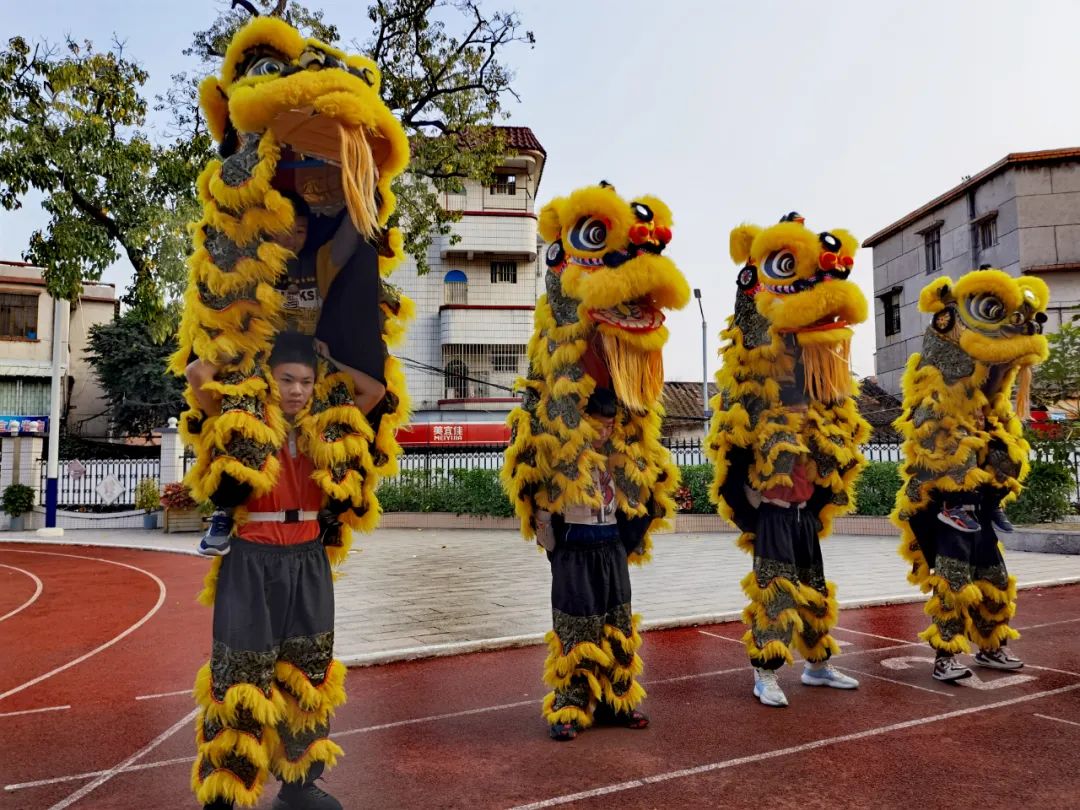 醒狮队的同学们在练习舞狮表演。.jpg